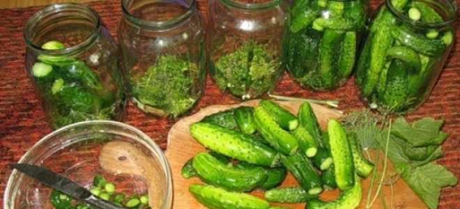 Маринуем огурцы на зиму в банке